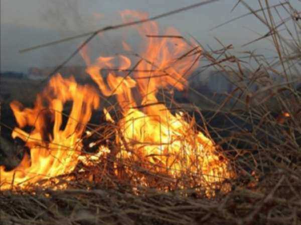 Экстренное предупреждение о чрезвычайной пожароопасности объявлено в Ростове и области