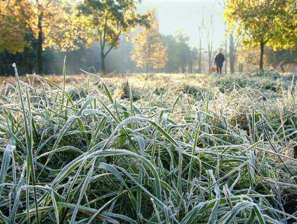 Утренние заморозки в Ростовской области продержатся до второго октября