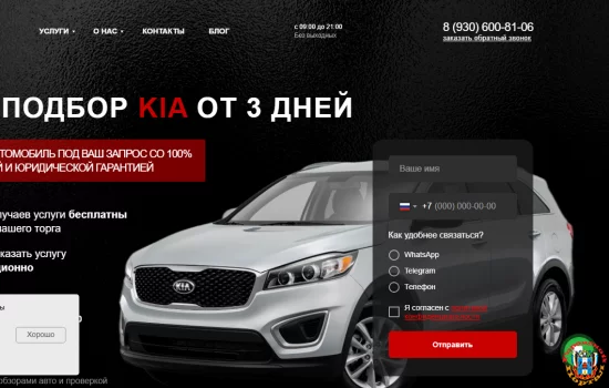 Профессиональный подход, чтобы подобрать автомобиль Kia