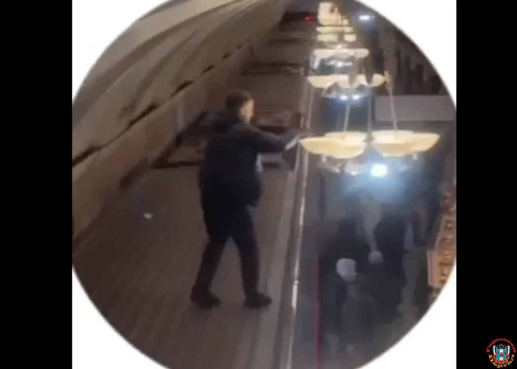 Жителя Ростовской области бегавшего по крышам поездов метро задержали в Москве