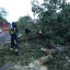 Опасность в лесах Ростова: горожан просят не посещать лесные зоны после шторма Опасность в лесах Ростова: горожан просят не посещать лесные зоны после шторма