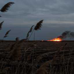 На Дону объявили экстренное предупреждение по пожароопасности