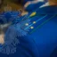 Прокуратура следит за защитой прав жителей Таганрога, пострадавших при воздушной атаке Прокуратура следит за защитой прав жителей Таганрога, пострадавших при воздушной атаке